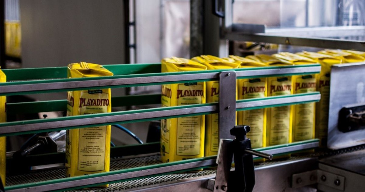 India habilitó la importación de yerba mate correntina y redujo aranceles | El Litoral