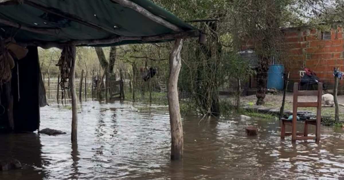 La crecida del arroyo Ávalos obligó a 26 familias a abandonar sus casas en Perugorría | El Litoral