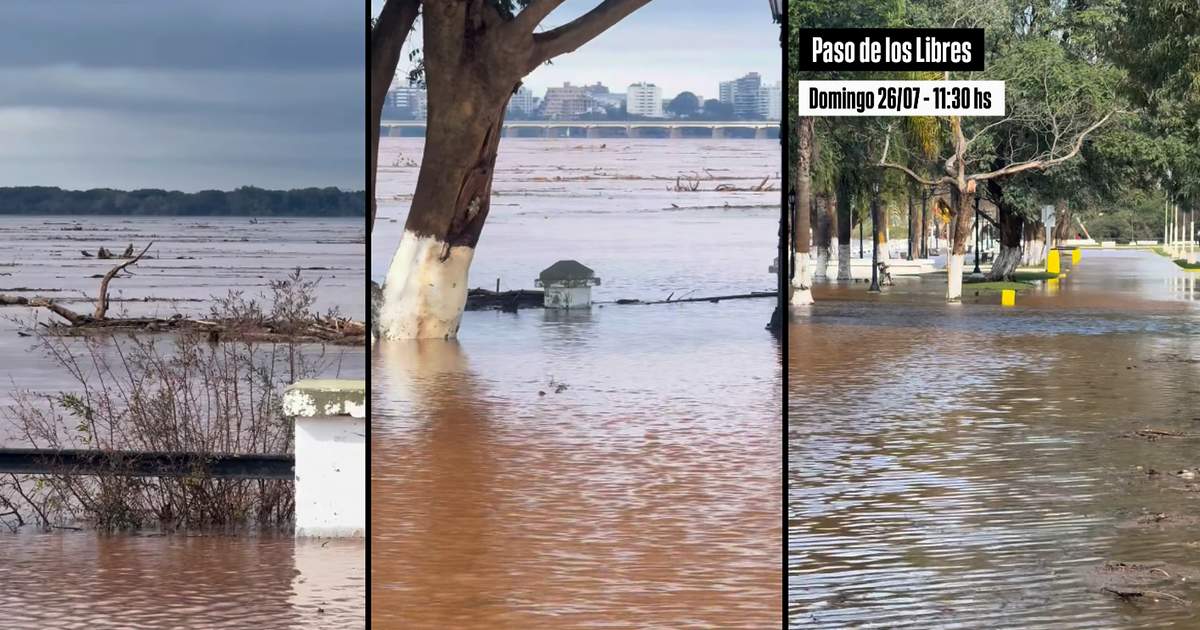 Preocupación en Corrientes por el crecimiento del río Uruguay en Paso de los Libres