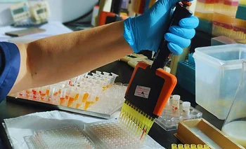 Fortalecen un laboratorio que es  referencia mundial en tristeza bovina