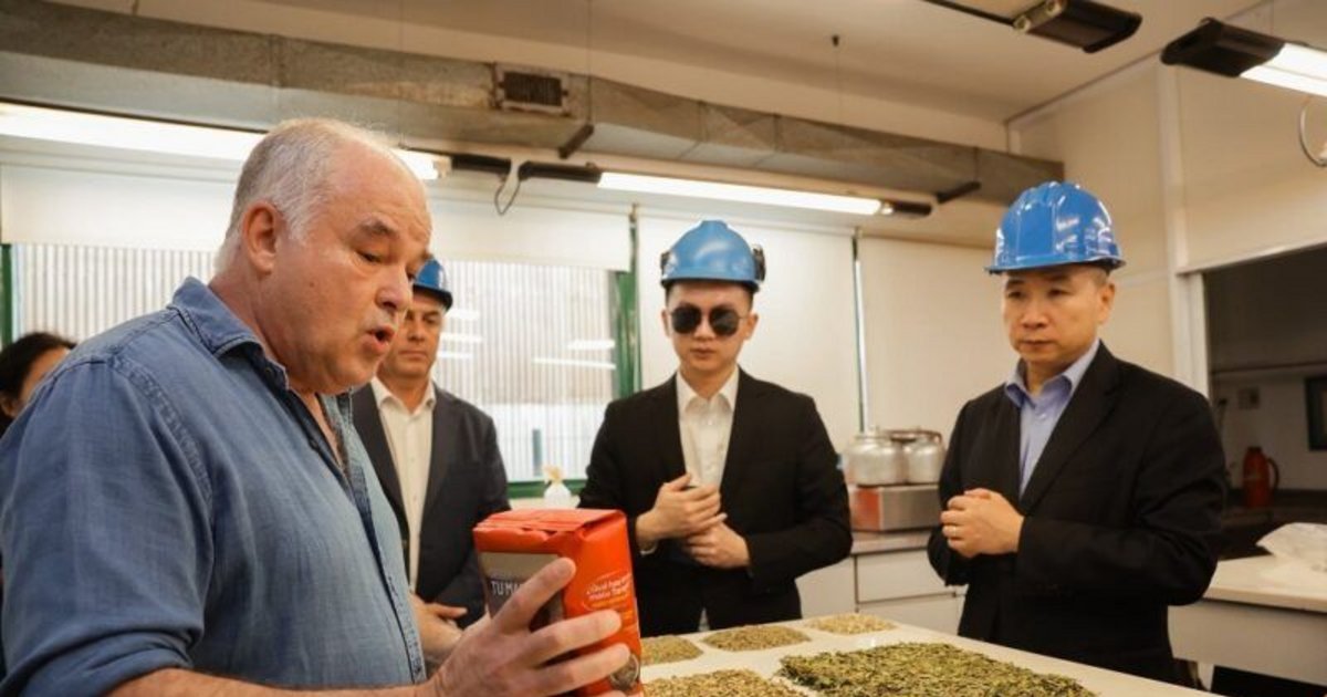 Las Marías abrió sus puertas al embajador de China y destacó el potencial de la yerba mate