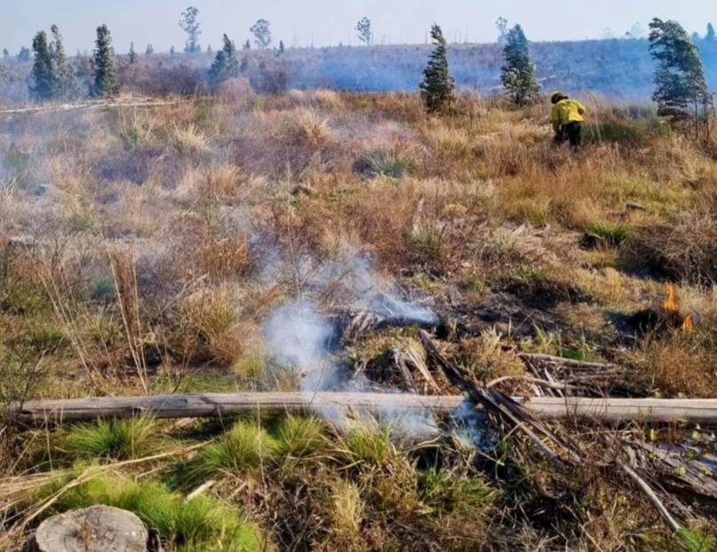 Alerta naranja por riesgo de incendios: Corrientes tiene 60 focos activos