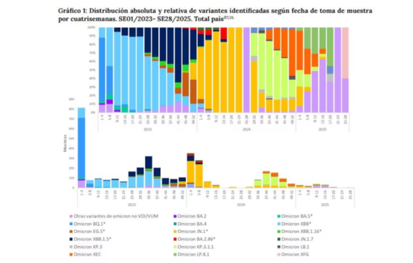 Cuáles son los síntomas de la variante "Frankenstein" del Covid detectada en Argentina