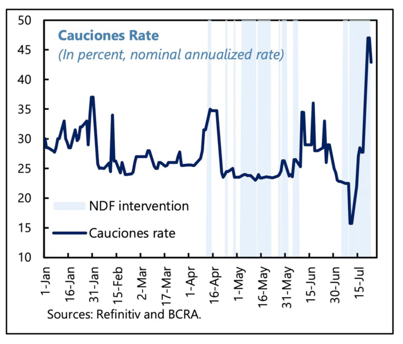 Un gráfico publicado por el FMI muestra la suba de la tasa de caución en pesos (línea azul) y su correlato con las intervenciones oficiales en dólar futuro (en barras celestes).- Un gráfico publicado por el FMI muestra la suba de la tasa de caución en pesos (línea azul) y su correlato con las intervenciones oficiales en dólar futuro (en barras celestes).