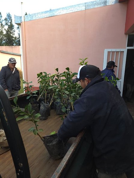 Productores correntinos recibieron 2.000 plantas de naranja para reforzar el sector