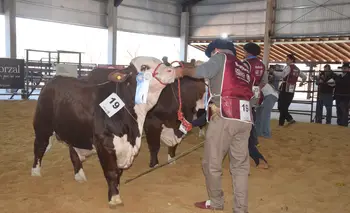 La Rural de Corrientes volvió  a acercar el campo a la ciudad
