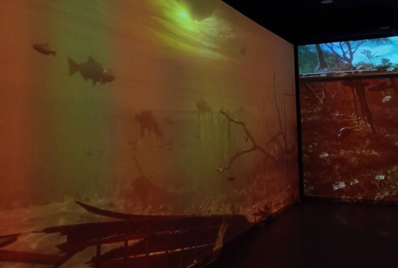 Museo inmersivo en La Unidad: viaje sensorial por la historia y la naturaleza correntina