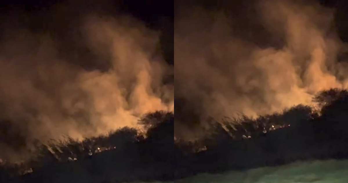 Incendio de pastizales avanzó hacia un campo y generó un amplio operativo en ruta 123