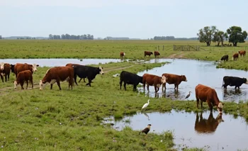 El Niño: anticiparse  para reducir el impacto 