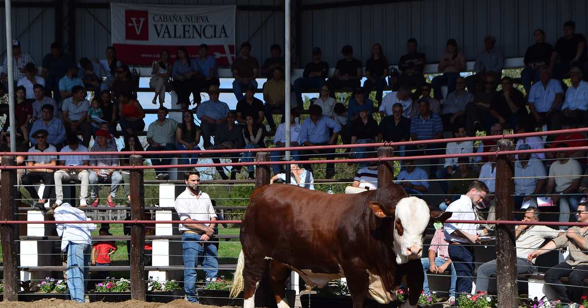 Nueva Valencia vendió sus reproductores en Riachuelo