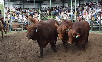 Los Orígenes, rusticidad y calidad  en la pista de El Sombrero
