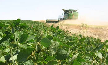 La actividad agropecuaria  marcó un nuevo récord