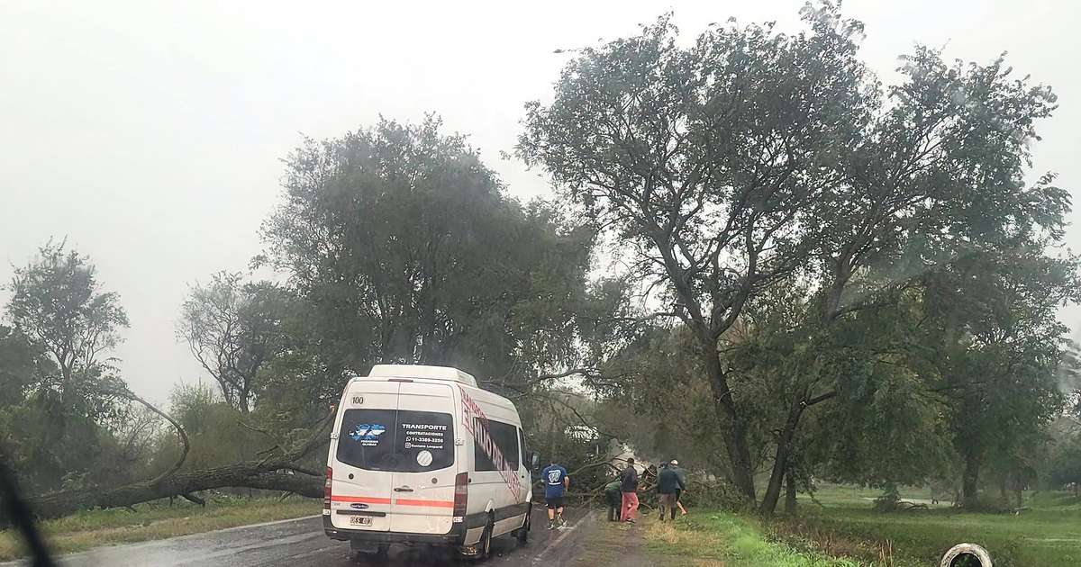 Temporal en Corrientes: cortaron la Ruta 12 en Esquina por la caída de un árbol