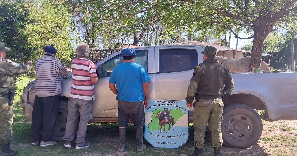 Corrientes: llevaban una vaca faenada tapada con una frazada y fueron demorados