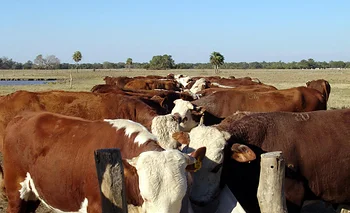 Hacienda: Mejora el precio del gordo