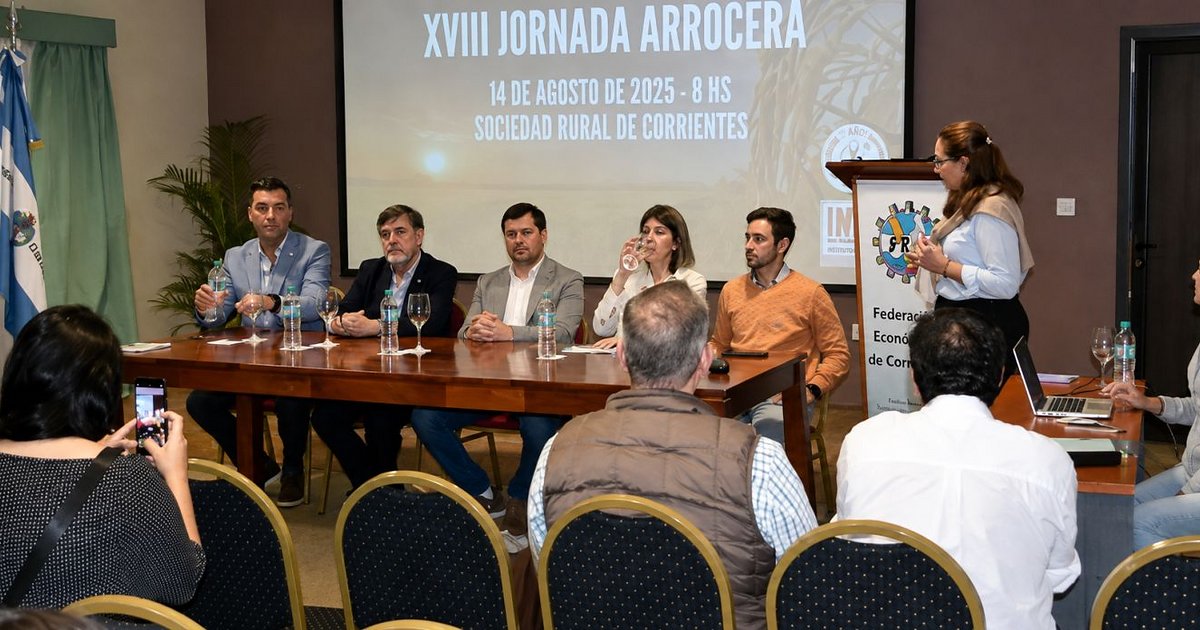 El arroz correntino enfrenta un escenario complejo y apuesta a diversificar