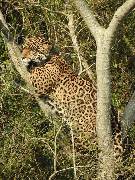 Gentileza Rincón de Socorro