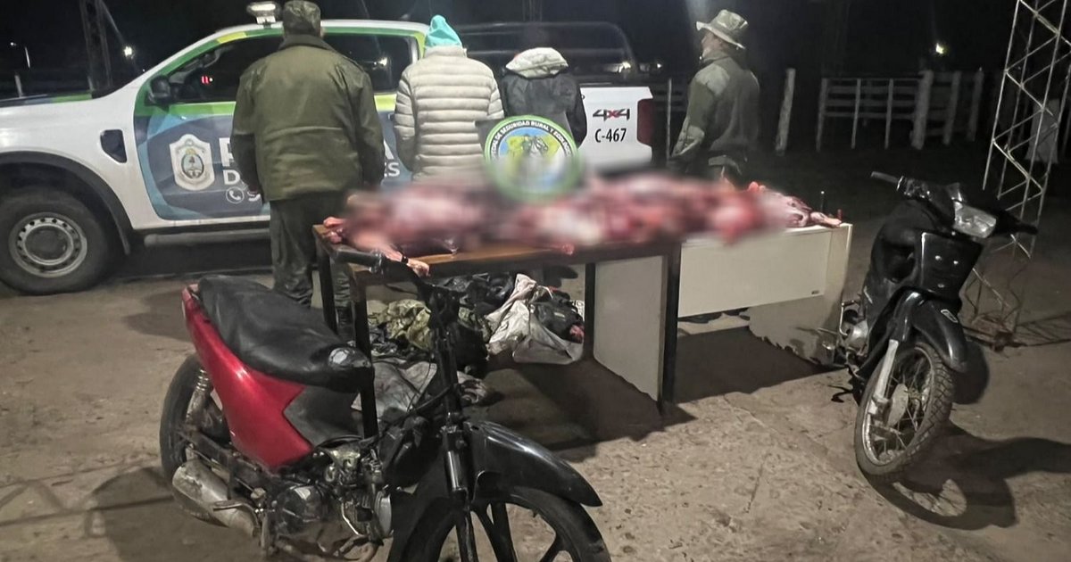 Secuestraron más de 100 kilos de carne de fauna silvestre en Sauce
