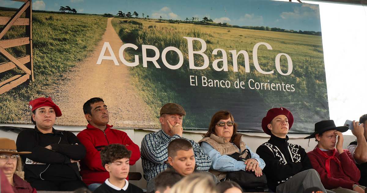 El Banco de Corrientes lanzó Corrientes Potencia: Ganadería, una herramienta histórica para impulsar la producción con el apoyo del Gobi