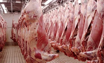 La faena acentúa su baja,  con peso medio que sube