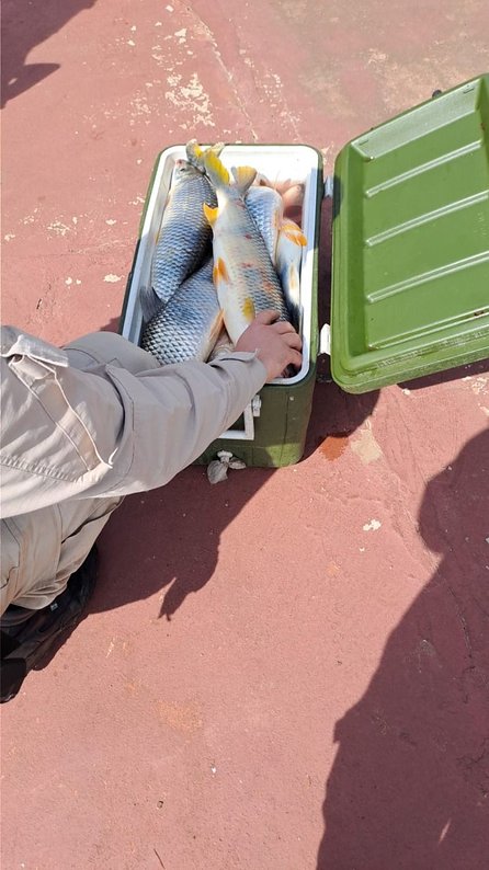Corrientes: pescadores paraguayos depredaban en aguas argentinas 