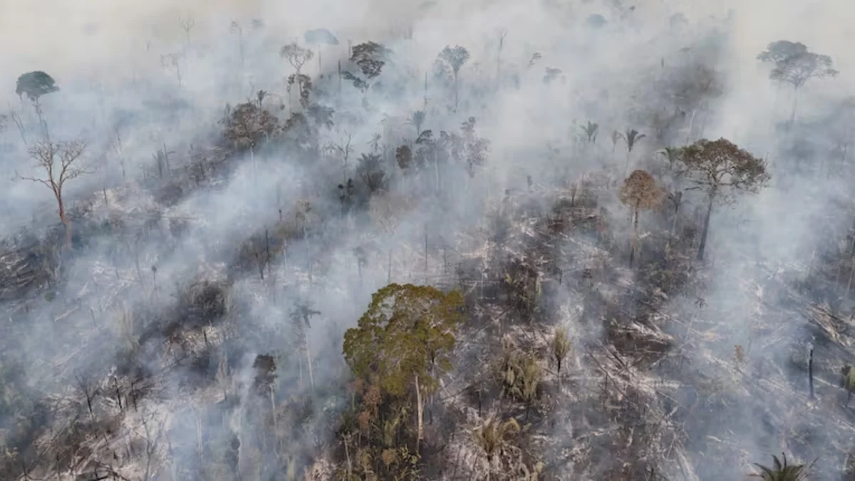 El Ministerio de Salud nacional puso en alerta a 10 provincias del norte por cortina de humo proveniente de Bolivia