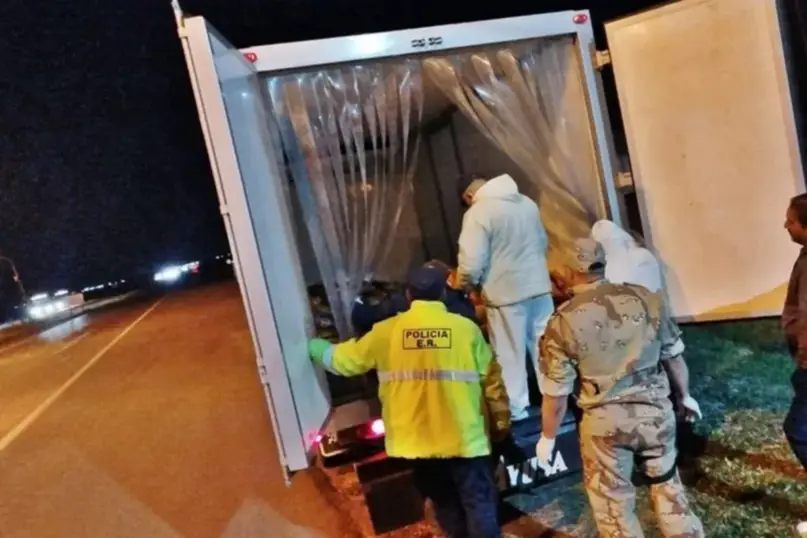 Decomisaron un cargamento de casi una tonelada de dorados con destino a Corrientes- Decomisaron un cargamento de casi una tonelada de dorados con destino a Corrientes