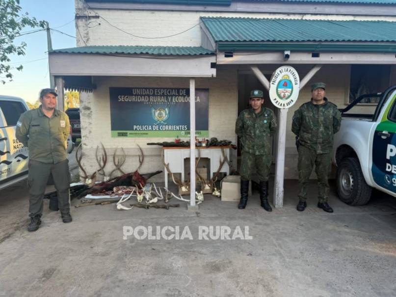 Caza furtiva en Corrientes: secuestran armas y municiones en un allanamiento
