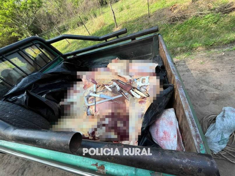 Corrientes: dos hombres detenidos con media tonelada de carne ilegal