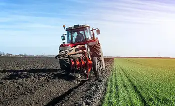 El maíz adelanta la siembra ante  “El Niño” y el trigo sufre el impacto