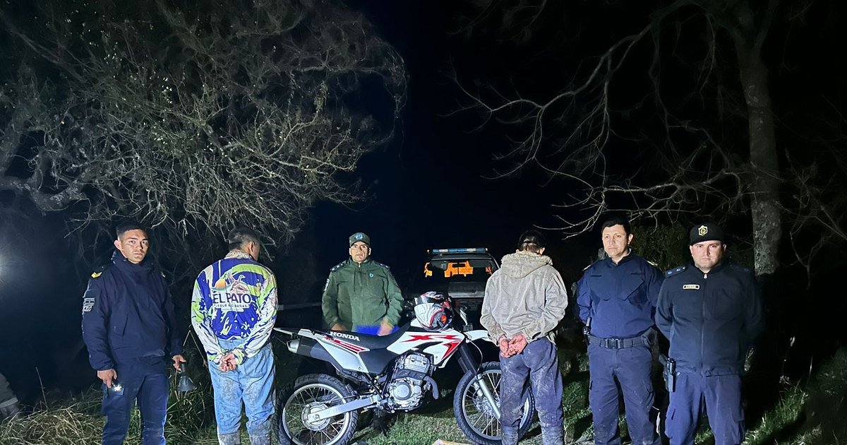 Esquina: apresaron a cuatreros cuando escapaban con carne de una faena ilegal