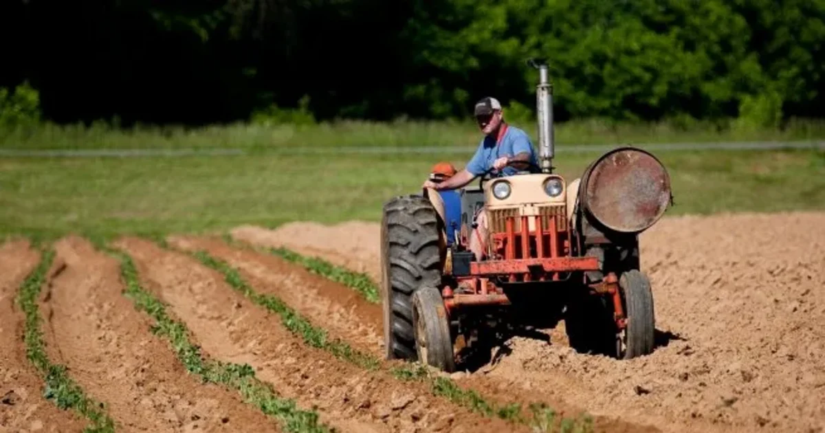 Por el vencimiento de un decreto advierten que 120 mil empleos en el campo están en riesgo