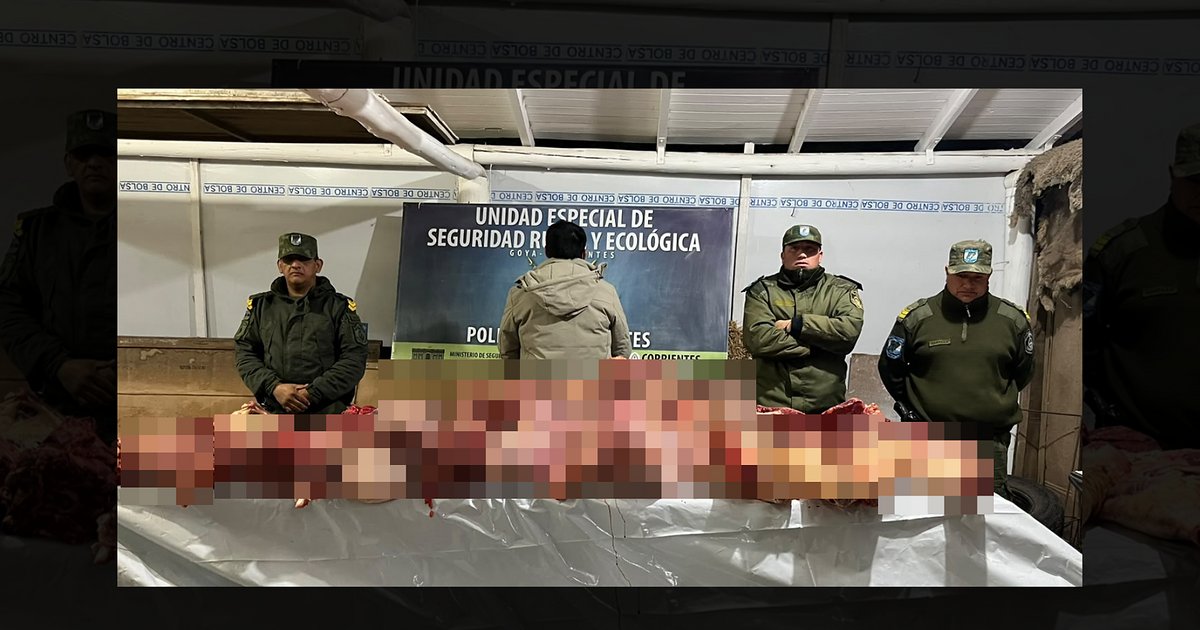 Corrientes: detuvieron a un comerciante por vender carne sin control sanitario