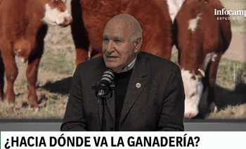 “La carne vacuna es cara y debe ser  cara; no tiene otra forma de subsistir”