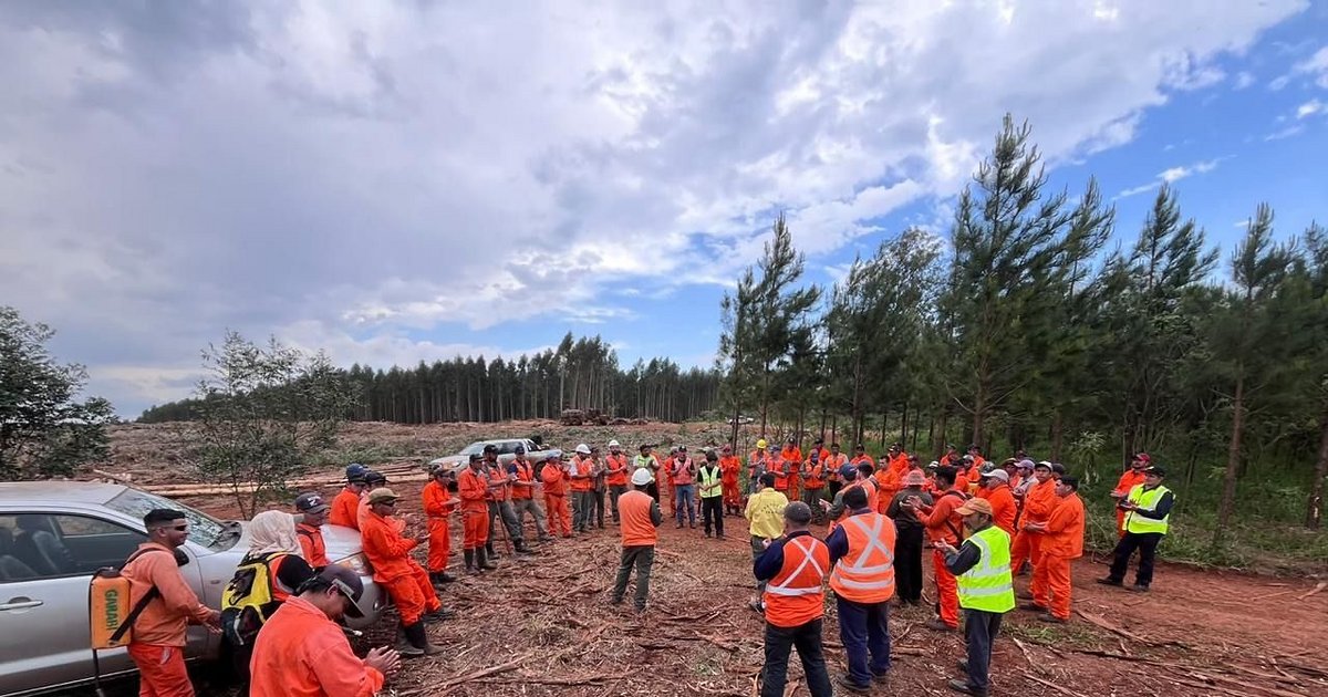 Prevención de incendios: la Provincia capacitó al personal forestal del Grupo Garabí