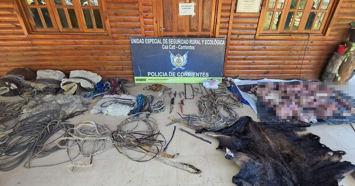 Abigeato en Corrientes: detienen a un sospechoso con carne vacuna y armas blancas