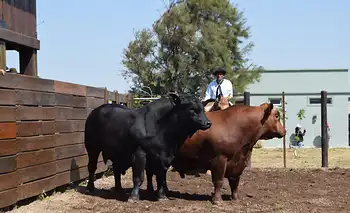 Gran remate de Los Guasunchos en el Noroeste de Santa Fe