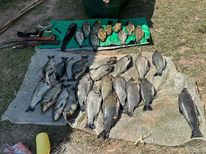 Corrientes: detuvieron a dos santafesinos por pesca ilegal en el río Paraná