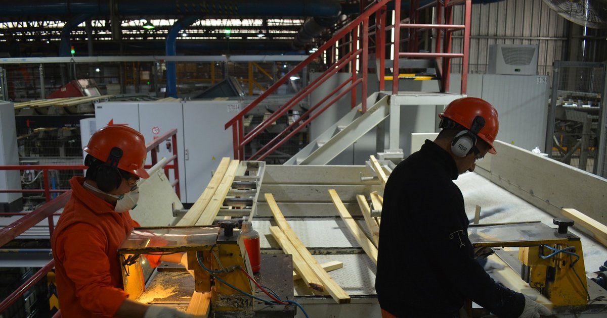 Corrientes avanza con el Censo Nacional Foresto Industrial