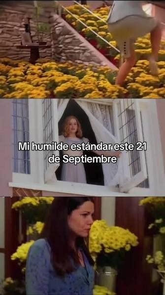 Meme de Instagram sobre las flores amarillas
