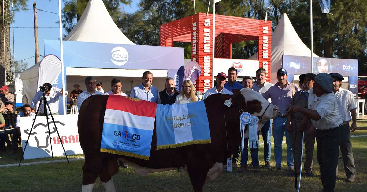 ExpoBra, una pista que le cae muy bien a la cabaña El Estribo