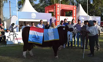 ExpoBra, una pista que le cae  muy bien a la cabaña El Estribo