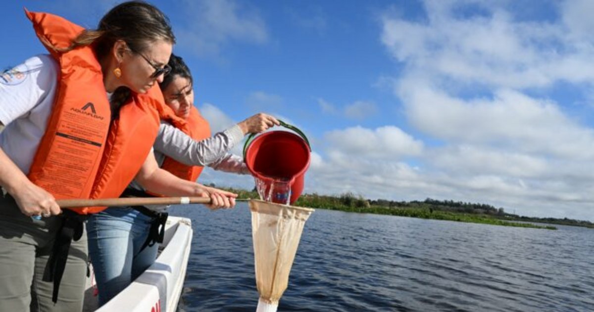 Qué hay en el agua: especialistas buscan microplásticos en tres provincias del Nea