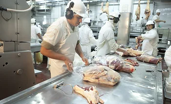 Menor oferta regional y crecimiento  de las exportaciones argentinas