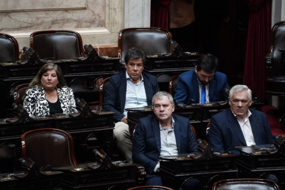 Se Rompió El Bloque De La UCR En Diputados: Un Correntino Forma Parte ...