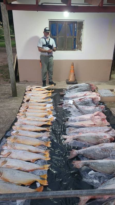 Incautaron unos 50 pescados en operativo vial sobre Ruta 12 en Corrientes