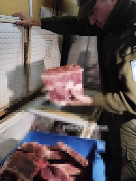 En una carnicería y depósito de San Roque, secuestraron 150 kilos de carne ilegal  