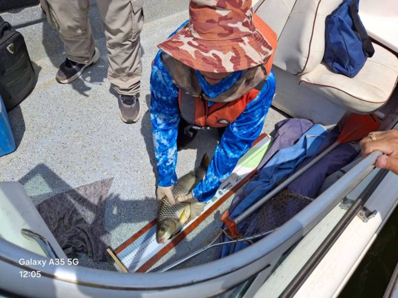 Más de 100 capturas en la Fiesta Provincial de la Pesca de la Boga con devolución