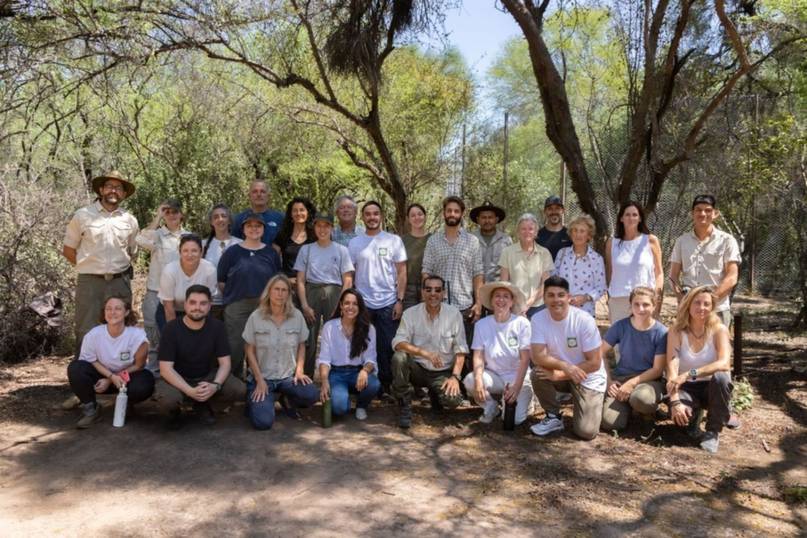 Acaí, la yaguareté nacida en el Parque Iberá que fue liberada en el Impenetrable