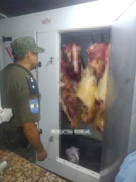 Lavalle: secuestraron más de 200 kilos de carne vacuna ilegal